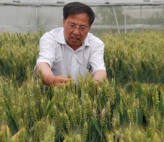 《党课开讲啦》第三讲丨听茹振钢讲党课
