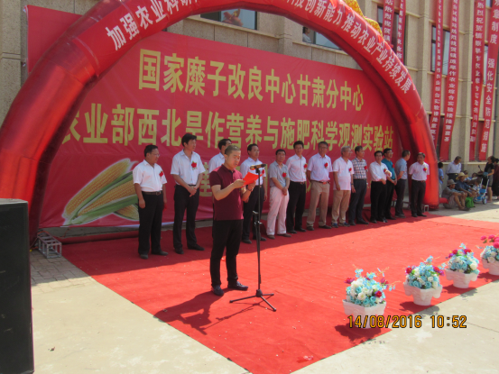 澳门三期必开一期是生肖